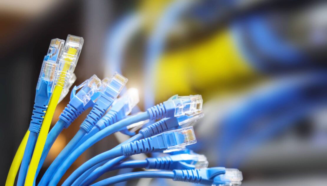 Close-up of multiple blue Ethernet network cables with RJ45 connectors, with one yellow cable standing out to represent choosing the right networking cable for a project.
